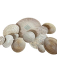 12 Piece Natural Super Wall - Wall Gallery Set (Tonga Baskets,Porcupine Baskets, Makenge Baskets)