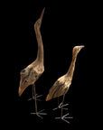 African Birds - Driftwood