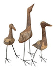 African Birds - Driftwood
