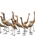 African Birds - Driftwood