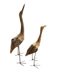 African Birds - Driftwood