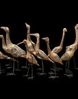 African Birds - Driftwood