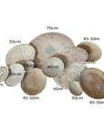 12 Piece Natural Super Wall - Wall Gallery Set (Tonga Baskets,Porcupine Baskets, Makenge Baskets)