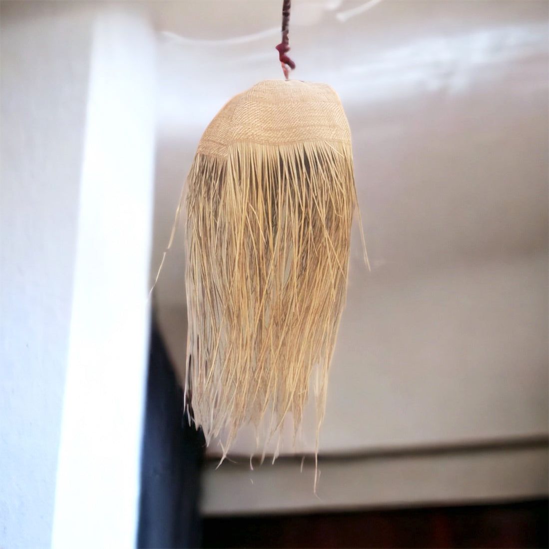 Pendant Lampshades Garlic Jellyfish