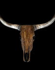 CowSkull - Skull Wall Decor