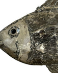 Steel Fish - Handcrafted Wall Decor