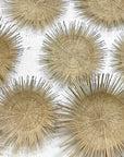 Sun Circles - Curved