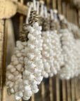 Hanging Shell Necklace - eyahomeliving