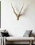 Wooden Kudu Horns - 65-70cm Wall Decor