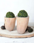 Wooden Containers/planters - Natural