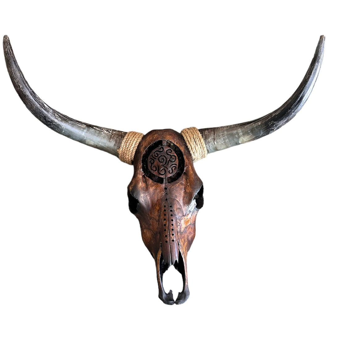 CowSkull - Skull Wall Decor