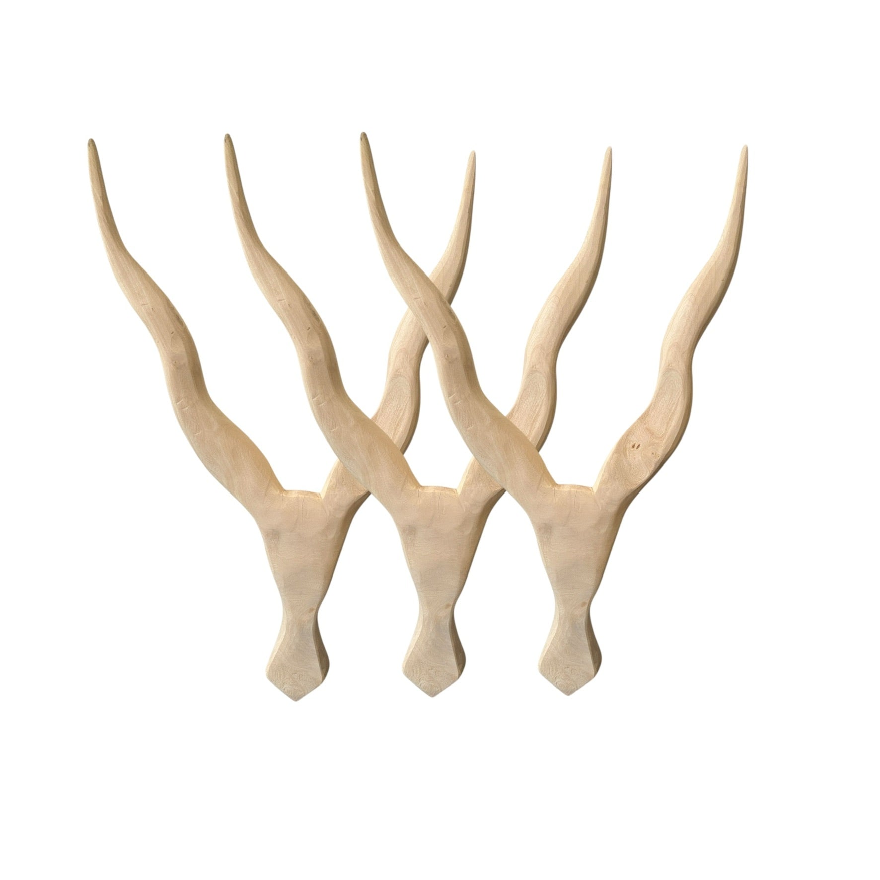 Wooden Kudu Horns - 65-70cm Wall Decor