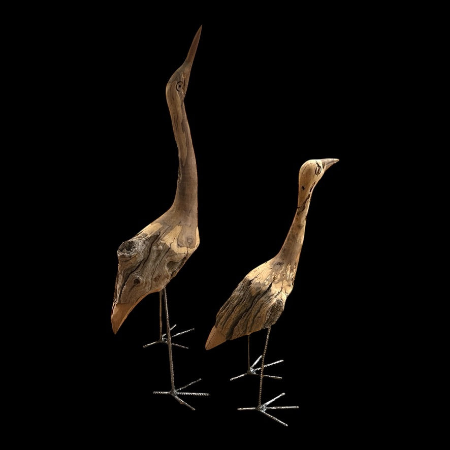 African Birds - Driftwood