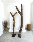 African Vintage Dogon Ladders, Mali - 1.2-2m Decorative