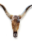 CowSkull - Skull Wall Decor