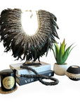 Black Feather/Shell Collar - Bali