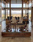 African Wild Dogs Decorative  - Set of 3
