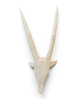 Wooden Gemsbok Horns