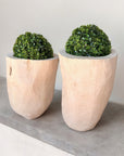 Wooden Containers/planters - Natural