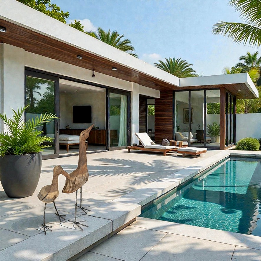 African Birds - Driftwood