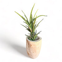 Wooden Containers/planters - Natural