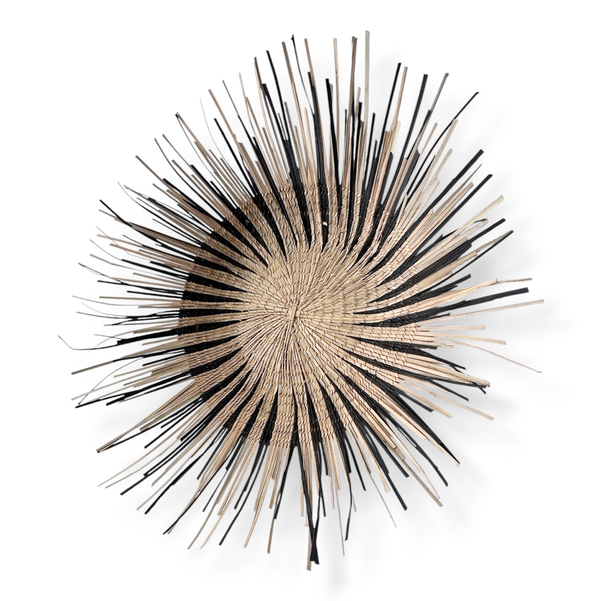 Sun Circles - Curved Partial Black/Natural
