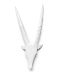 Wooden Gemsbok Horns