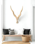 Wooden Kudu Horns - 65-70cm Wall Decor