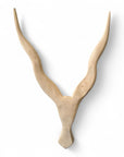 Wooden Kudu Horns - 65-70cm Wall Decor