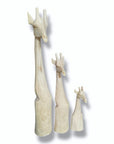 Wooden Giraffe Head/Statue 30/50/70cm