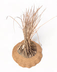 Garlic Tassle Baskets - 75-80cm