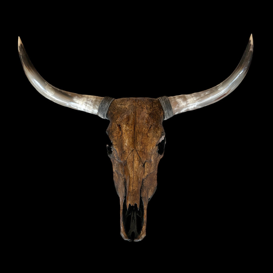 CowSkull - Skull Wall Decor