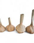 Long Neck Garlic Gourds/Baskets