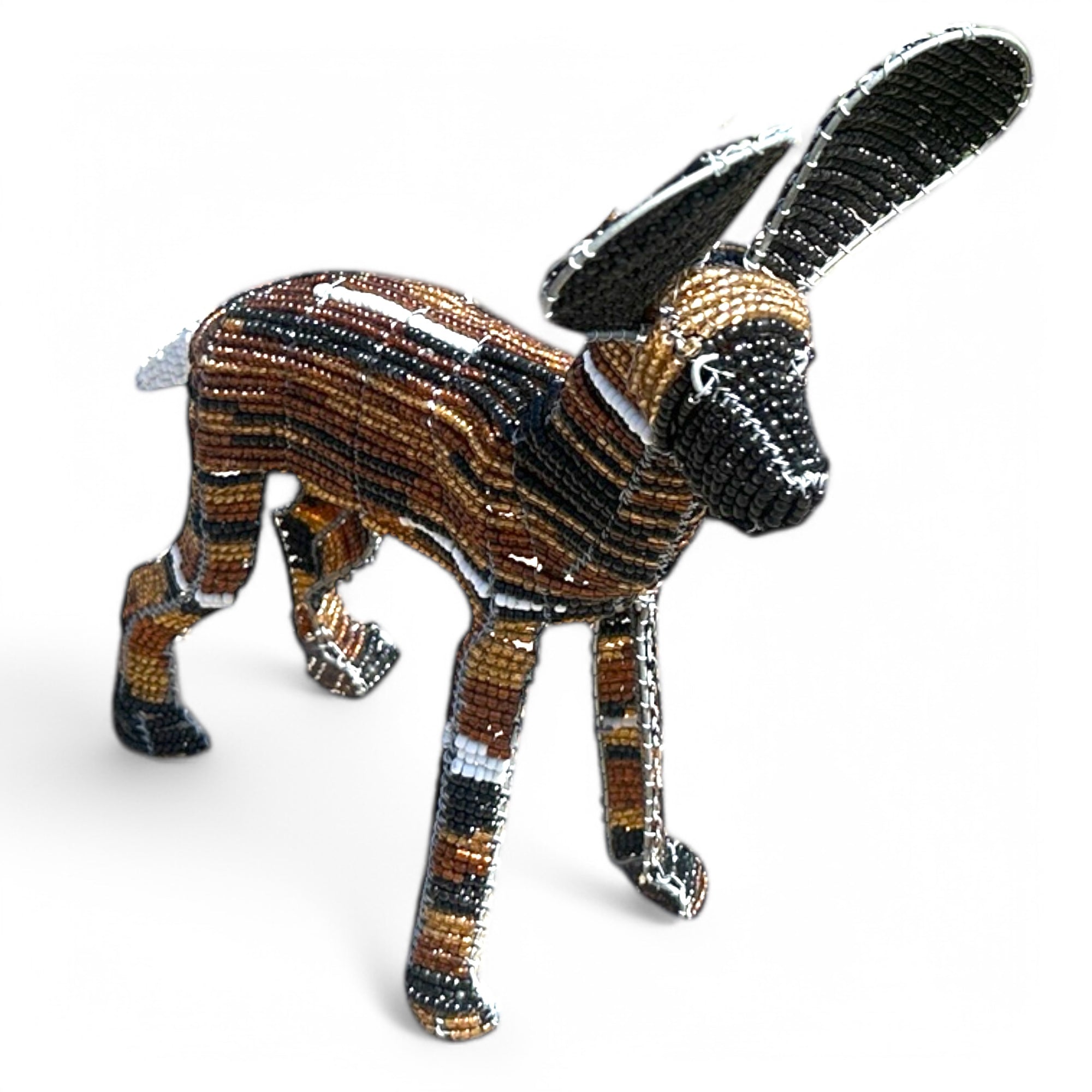 African Wild Dogs Decorative  - Set of 3