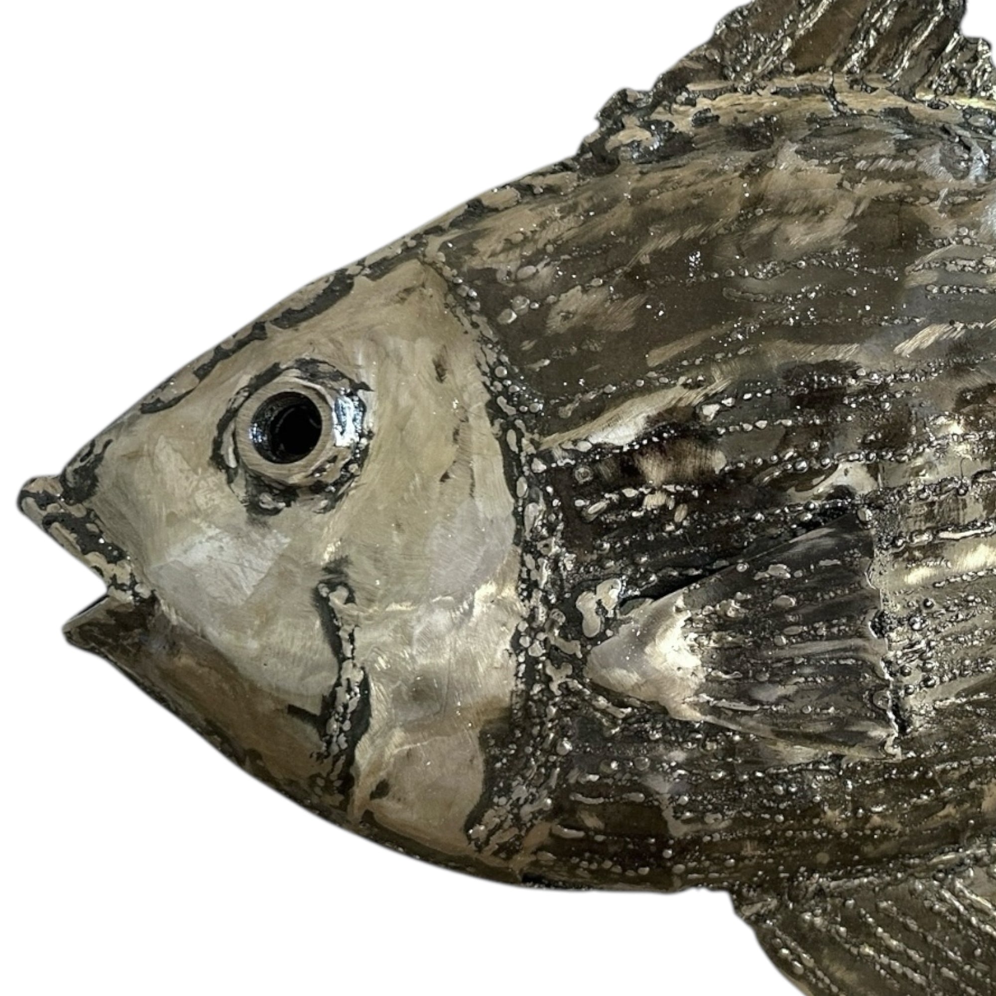 Steel Fish - Handcrafted Wall Decor