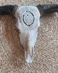 CowSkull - Skull Wall Decor White Finish - X Wide