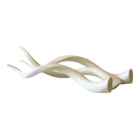 Kudu Horns (Decorative) - eyahomeliving