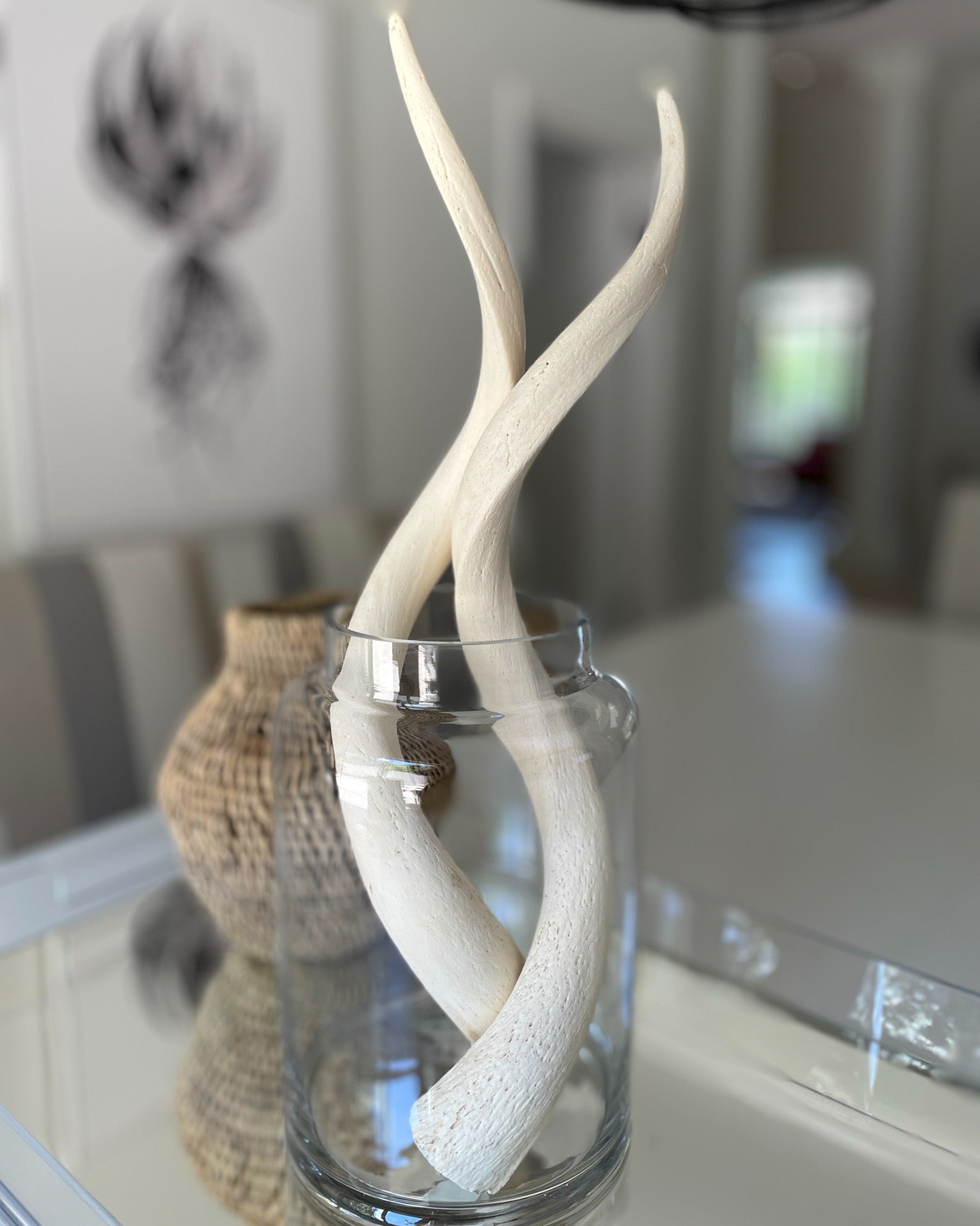 Kudu Horns (Decorative) - eyahomeliving