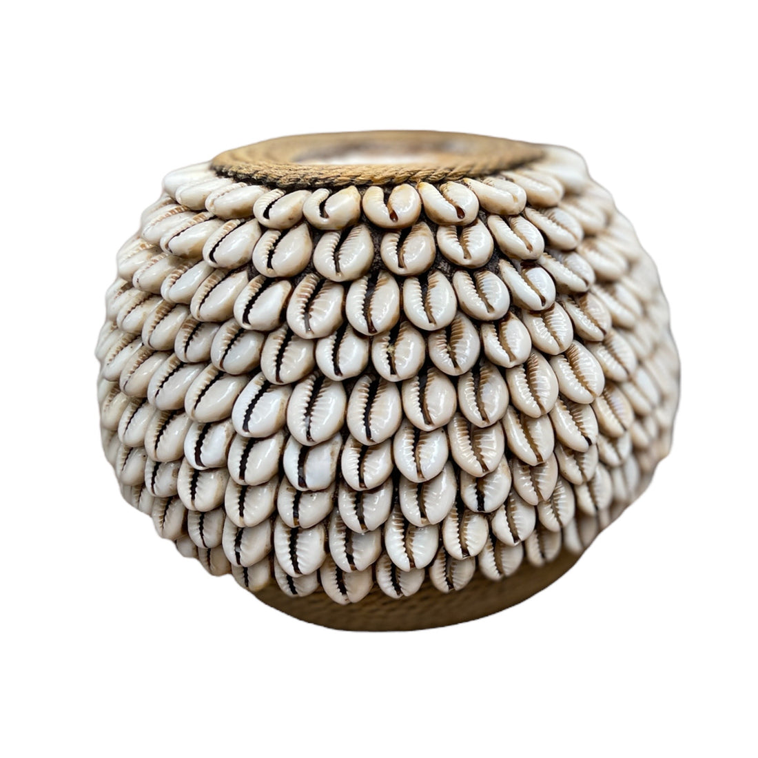 Cowrie Shell Tea Lights - eyahomeliving