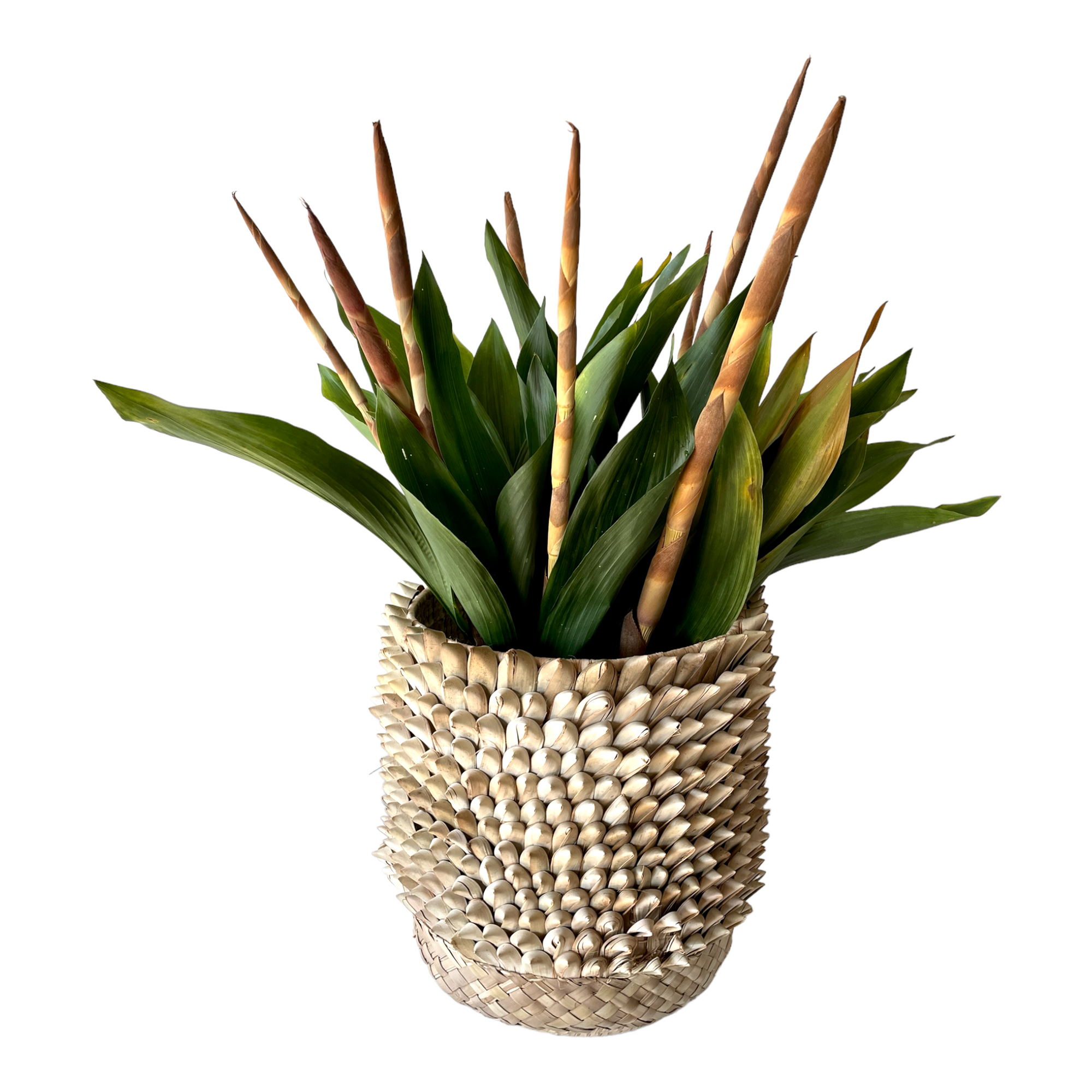 Porcupine Floor Baskets - eyahomeliving